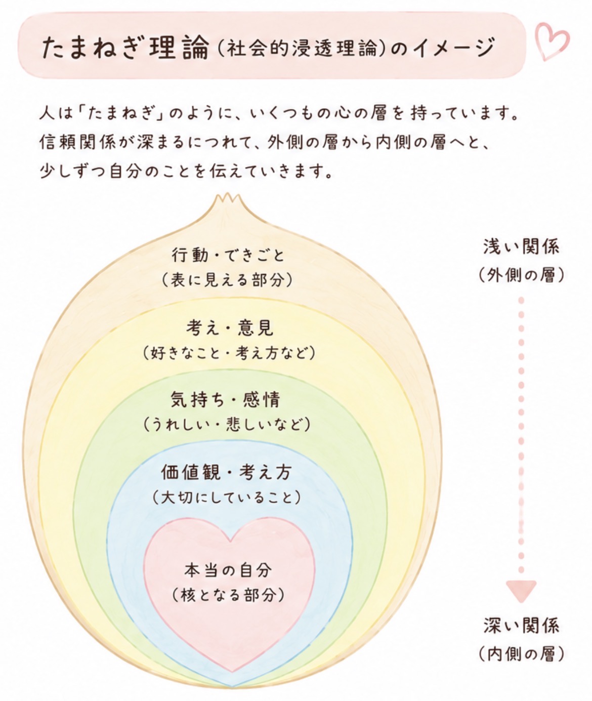 「たまねぎ理論」から考える患者さんとの信頼関係